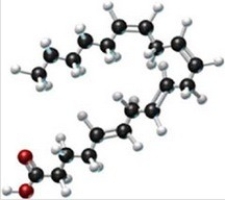 <strong>A triglyceride contains the following fatty acid. Is this triglyceride a solid fat or a liquid oil? Is it saturated or unsaturated? Does it contain cis or trans arrangements at the double bonds? </strong> A)liquid oil, saturated, trans B)liquid oil, saturated, cis C)liquid oil, unsaturated, cis and trans D)solid fat, saturated, cis E)solid fat, unsaturated, trans