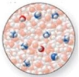 <strong>The image shows a molecular-level representation of part of a solution after ammonia, NH<sub>3</sub>, is dissolved in water. (Besides water, there are 2 NH<sub>4</sub><sup>+</sup> ions, 6 NH<sub>3</sub> molecules, and 2 OH<sup>−</sup> ions present in the solution.). Which of the following best describes NH<sub>3</sub>? </strong> A)strong acid B)strong base C)weak acid D)weak base E)amphoteric