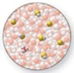 <strong>The image shows a molecular-level representation of part of a solution after HF is dissolved in water. (Besides water, there are 6 HF molecules, 1 H<sub>3</sub>O<sup>+</sup> ion, and 1 F<sup>−</sup> ion present in the solution.)Which of the following best describes HF? </strong> A)strong acid B)strong base C)weak acid D)weak base E)amphoteric