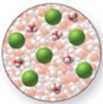 <strong>The image shows a molecular-level representation of part of a solution after HCl is dissolved in water. What best describes this image? (Besides water, there are 6 H<sub>3</sub>O<sup>+</sup> ions and 6 Cl<sup>−</sup> ions present in the solution.)Which of the following best describes HCl? </strong> A)strong acid B)strong base C)weak acid D)weak base E)amphoteric