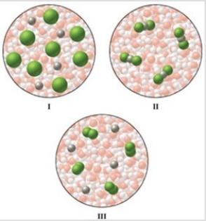 <strong>Which of the diagrams in the figure best represents an aqueous solution of MgCl<sub>2</sub>? </strong> A)I B)II C)III D)either I or III E)none of these is correct