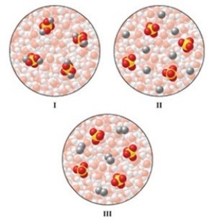 <strong>Which of the diagrams in the figure best represents an aqueous solution of Na<sub>2</sub>SO<sub>4</sub>? </strong> A)I B)II C)III D)either I or III E)none of these is correct