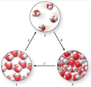 <strong>Three phases of water are shown in the figure. List the terms used to identify the phase changes indicated by the arrows. </strong> A)A = sublimation, B = vaporization, C = freezing B)A = vaporization, B = condensation, C = melting C)A = vaporization, B = deposition, C = melting D)A = sublimation, B = condensation, C = freezing E)A = condensation, B = sublimation, C = freezing