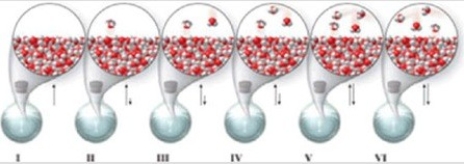 <strong>Which of the molecular-level images in the figure shows the liquid and vapor phases in equilibrium in a closed container? </strong> A)I, II, and III B)none of the images C)I D)V E)V and VI