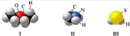 <strong>Which of the molecules in the figure has hydrogen bonding in the pure liquid state? </strong> A)I only B)II only C)III only D)II and III E)I and II
