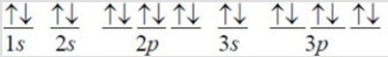 <strong>Which of the following is the correct orbital diagram for silicon?</strong> A) B) C) D) E)