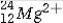 <strong>The isotope symbol for an ion that has 12 protons, 12 neutrons, and 10 electrons is:</strong> A) B) C) D) E)none of these