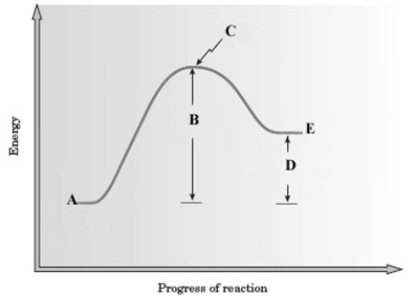Consider the following energy diagram for a reaction. Which letter represents the net energy change of the reaction?
