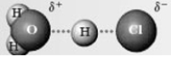 In the reaction of HCl with water: The following species forms. In the given energy diagram, which letter represents this species?