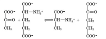 <strong>Examine the following chemical reaction. Which of the following statements is true of this reaction?</strong> A) Alanine is one of the products of the given reaction. B) This reaction is an example of a deamination reaction. C) The product of this reaction is an essential amino acid. D) All of these statements are true.