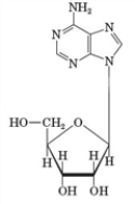 Examine the given structural formula that consists of an adenine molecule bonded to a five-carbon sugar molecule. Which of the following describes the components of this substance?