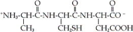 <strong>Identify the correct representation of the given tripeptide. </strong> A) Ala-Cys-Asp B) Ala-Cys-Glu C) Asp-Cys-Ala D) Glu-Cys-Ala