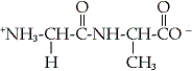 <strong>Which of the following dipeptides is glycylalanine?</strong> A) B) C) D)