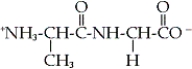 <strong>Which of the following dipeptides is glycylalanine?</strong> A) B) C) D)