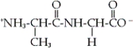 <strong>Which of the following dipeptides is alanylglycine?</strong> A) B) C) D)