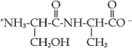 <strong>Which of the following dipeptides is alanylglycine?</strong> A) B) C) D)