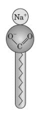 Examine the following figure. What does the image represent?