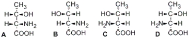 <strong>Illustrated here are the four stereoisomers of an amino acid that has two stereocenters. Which structure(s) is/are the diastereomer(s) of structure A? </strong> A) B only B) C only C) D only D) B and D only