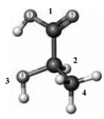 Consider the following ball-and-stick model. Atoms other than carbon and hydrogen are indicated by the chemical symbol of the element. Which of the numbered groups is assigned the highest priority?