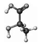 Consider the following ball-and-stick model. Atoms other than carbon and hydrogen are indicated by the chemical symbol of the element.   Which of the following can also be used to specify the geometry of this substance?