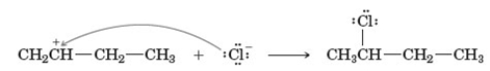 Examine the following reaction. This reaction occurs in which step of the hydrohalogenation reaction mechanism?