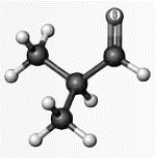<strong>Answer the following questions based on the ball-and-stick model given below. Atoms other than carbon and hydrogen are labeled with the symbol of the element. Which functional group does this compound contain?</strong> A) ketone B) aldehyde C) ester D) alcohol