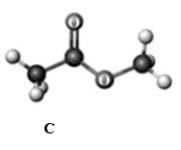 <strong>Answer the following questions based on the ball-and-stick models given below. Atoms other than carbon and hydrogen are labeled with the symbol of the element. Which of the following ball-and-stick models represents a secondary alcohol?</strong> A) A B) B C) C D) D E) none of these