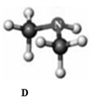 <strong>Answer the following questions based on the ball-and-stick models given below. Atoms other than carbon and hydrogen are labeled with the symbol of the element. Which of the following ball-and-stick models represents a secondary alcohol?</strong> A) A B) B C) C D) D E) none of these