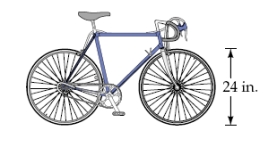 <strong>A bicycle wheel has a diameter of 24 inches. How many feet does the bicycle travel when the wheel makes 4 revolutions? Round your answer to the nearest hundredth. </strong> A) 25.13 ft B) 12.57 ft C) 301.59 ft D) 22.14 ft E) 6.28 ft