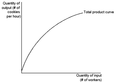 <strong>Graph 13-1 This graph depicts a production function for a firm that produces cookies. Use the graph to answer the following question(s). Refer to Graph 13-1. The slope of the total product curve reveals information about the:</strong> A) average product of workers B) fixed product of workers C) total product of workers D) marginal product of workers