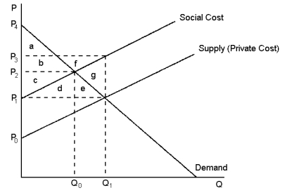 <strong>Graph 10-2 This graph reflects the market for kiwifruit, where pesticide used by kiwifruit orchardists also unintentionally kills honey bees. Refer to Graph 10-2. The difference between the social cost curve and the supply curve reflects the:</strong> A) profit margin of each kiwifruit tray B) cost of spillover effects from the kiwifruit orchards (replacing bees, lost honey output) C) value of kiwifruit to society as a whole D) amount by which the government should subsidise the kiwifruit orchardists