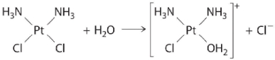 The following is an example of a first-order reaction involving the _____.