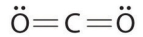 <strong>Which of the following is the Lewis structure of CO<sub>2</sub>?</strong> A) B) C) D) E)