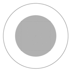 <strong>  If you were told that the outer circle in the above figure was created with an effect, which effect would you guess that to be?</strong> A)Outline Stroke B)Offset Path C)Free Distort D)not enough information supplied <div style=padding-top: 35px> 