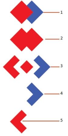 When you select an object then click the Free Transform tool, what is the name of the eight-handled object that appears around the selected object?  <div style=padding-top: 35px> 