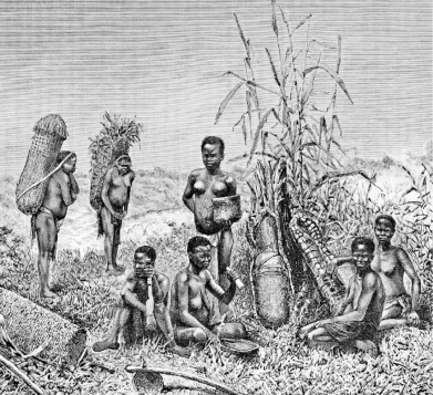 <strong>Questions refer to the image below.   Engraving by Italian explorer Savorgnan de Brazza shows women of the West African Bateke tribe working in corn plantations. Based on your knowledge of world history and the image above, the Columbian Exchange precipitated which of the following environmental trends?</strong> A) Traditional peasant agriculture persisted. B) Silver became the driving force in transoceanic trade. C) Diseases from Europe nearly annihilated people in Africa. D) Tropical forests were destroyed to produce cash crops. <div style=padding-top: 35px> 