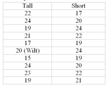 <strong>Two independent samples of tall and short students are selected, and their scores on a 25-point statistics quiz are recorded as shown in the table below. What is the rank of the score for Wilt? </strong> A) 10 B) 11 C) 9 D) 8