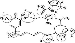 <strong>Correctly identify the following functional groups in this organic molecule-amide, ester, ketone, ether, alcohol, aldehyde, amine. </strong> A)1 = ether, 3 = ester, 6 = aldehyde, 9 = alcohol B)2 = amide, 4 = ester, 7 = amine, 8 = ether C)1 = ester, 5 = alcohol, 8 = ether, 9 = ketone D)2 = amide, 6 = aldehyde, 7 = amine, 8 = ether