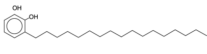 <strong>One of the skin-irritating components of poison oak is tetrahydrourushiol: The long, nonpolar hydrocarbon tail embeds itself in a person's oily skin, where the molecule initiates an allergic response. Scratching the itch spreads tetrahydrourushiol molecules over a greater surface area, causing the zone of irritation to grow. Is this compound an alcohol or a phenol?</strong> A)an alcohol because of the hydroxyl groups it contains B)both a phenol and an alcohol because of the hydroxyl groups it contains C)a phenol because of the hydroxyl groups attached to the benzene ring D)neither an alcohol or phenol because it contains two hydroxyl groups instead of one