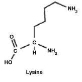 <strong>The amino acid lysine is shown below. What functional group must be removed in order to produce cadaverine (1,5-pentanediamine) </strong> A)One amino group must be removed and replaced with a hydrogen. B)The carboxyl group must be removed and replaced with a hydrogen. C)The hydrogen (shown)must be removed and replaced with an amino (NH₂)group. D)Lysine is 1, 5-pentanediamine. Nothing has to be removed.