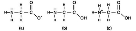 <strong>An amino acid is an organic molecule that contains both an amine group and a carboxyl group. At an acidic pH, which structure is most likely? </strong> A)Structure (a) B)Structure (b) C)Structure (c) D)All three structures are equally possible.