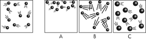 <strong>The diagram on the far left shows the moving particles of a gaseous material within a rigid container. Which of the three boxes on the right best represents this material upon the addition of heat?</strong> A)Box A, because it shows the gas particles rising upon the addition of heat.   B)Box B, because it shows the gas particles moving faster. C)Box C, because it shows how the particles expand upon the addition of heat. D)All three of these boxes show accurate representations of what happens to the particles within this rigid container upon the addition of heat. <div style=padding-top: 35px> 