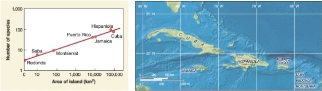 <strong> According to the graph, approximately how many square kilometers is the island of Montserrat?</strong> A)10 B)100 C)1,000 D)10,000
