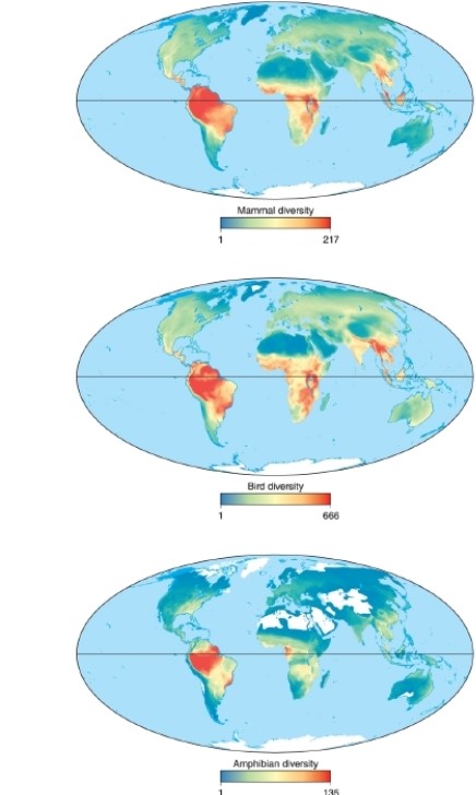 -According to these maps, mammal biodiversity is highest in __________.