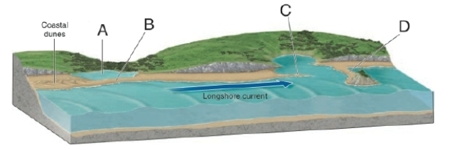<strong> In the diagram, letter D points to a __________.</strong> A)sandspit B)lagoon C)tombolo D)baymouth bar