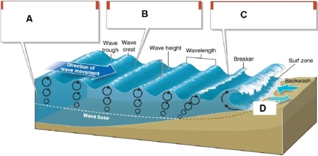 <strong> In the diagram, box C points to what?</strong> A)the swash B)waves of oscillation C)waves of translation D)the wave base