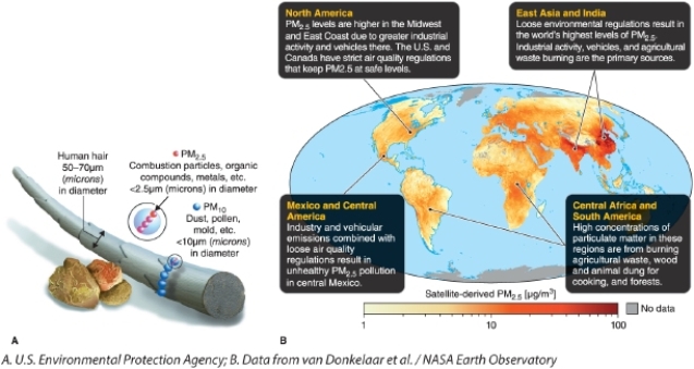 <strong> Referring to the map, what causes particulate matter to be high in the Sahara in northern Africa?</strong> A)dust storms B)industrial emissions C)agricultural emissions D)photochemical reactions