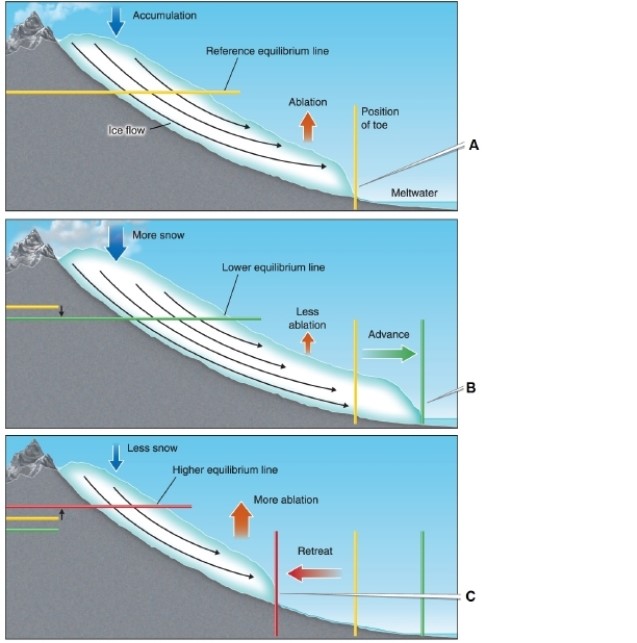 <strong>  In the figure, which panel shows the toe of the glacier advancing?</strong> A)A B)B C)C D)The glacier is not advancing in any panel. <div style=padding-top: 35px> 