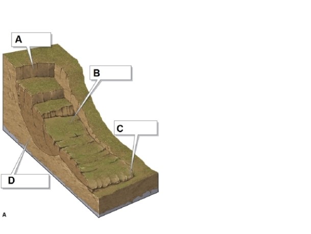 <strong> In the figure, box A shows what?</strong> A)failure surface B)head scarp C)toe D)slump material