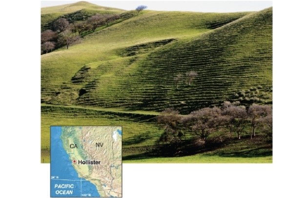   -Cattle terraces, shown in the photo, occur only in what type of topography?
